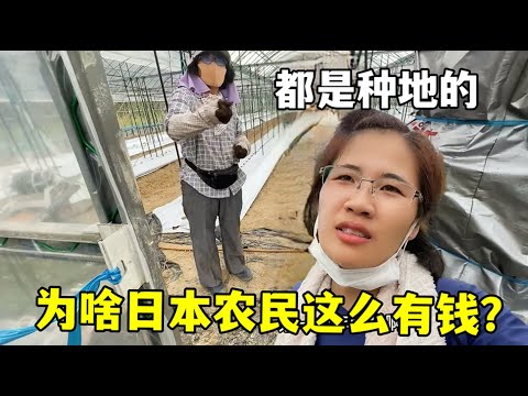 姚明卸任,中国篮球争,议焦点,世界杯比分,2026世界杯,实时比分,比赛结果,赛事回顾