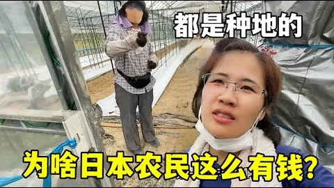 姚明卸任，中国篮球争议焦点？
